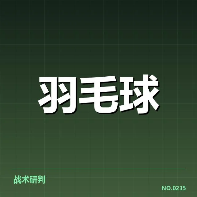 台北羽毛球队后场杀球表现：战术调整成效几何